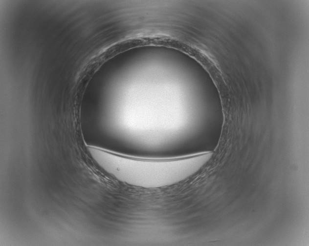 X0000073890920200608110906