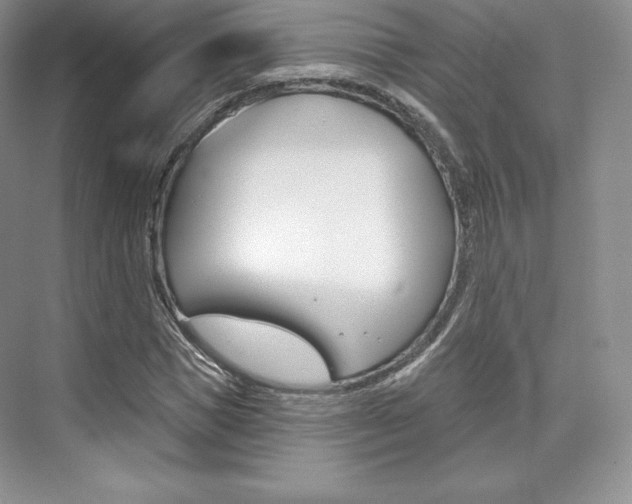 X0000073890921200608110906