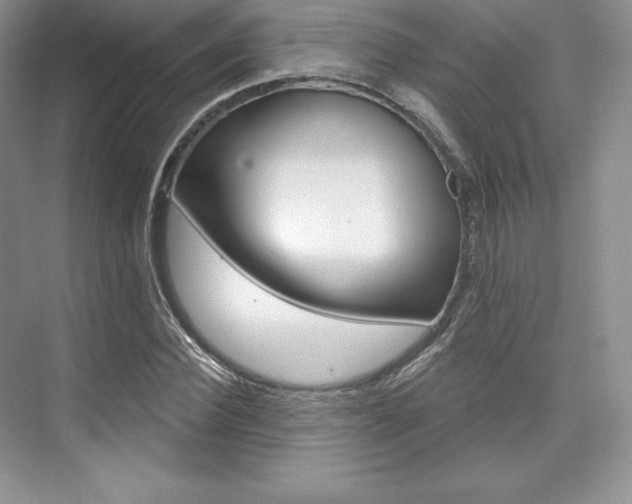 X0000073890924200608110906