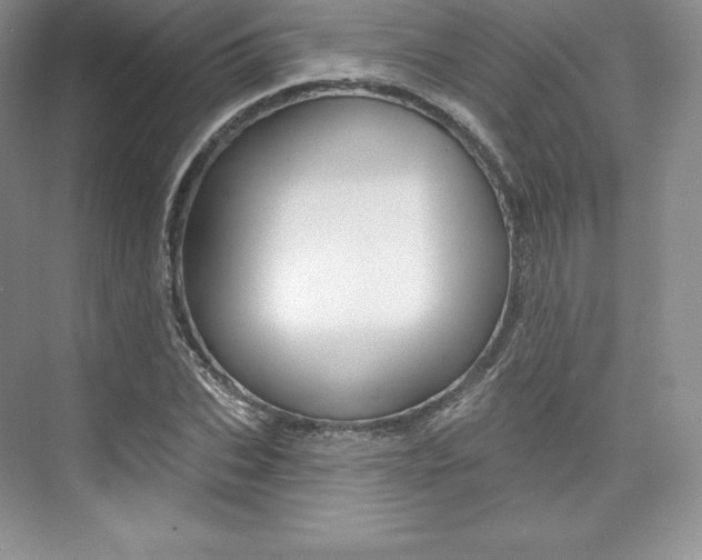 X0000073890927200608110906