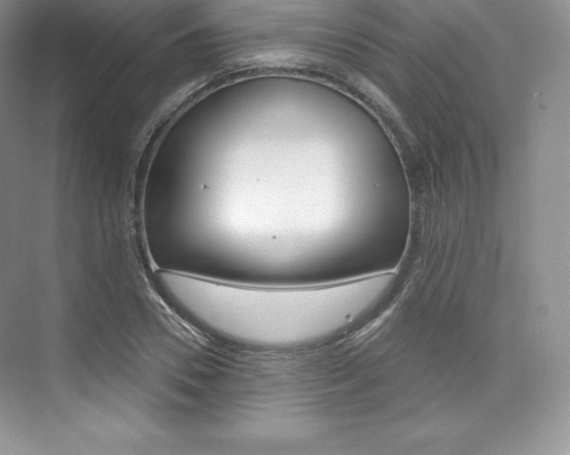 X0000073890930200608110906