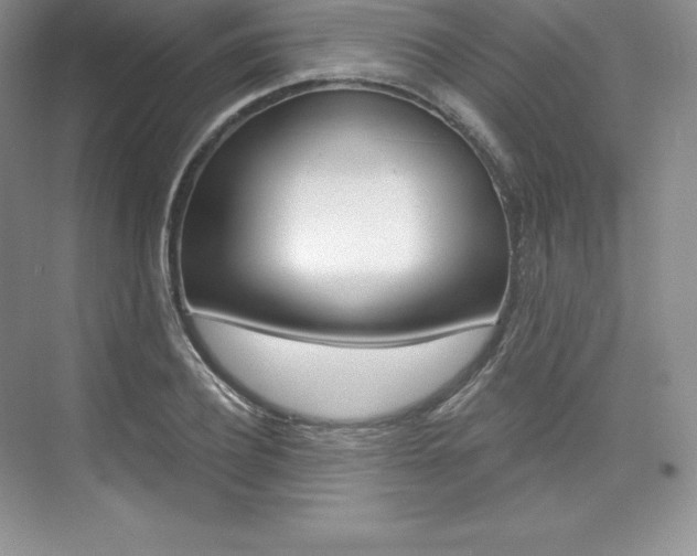 X0000073890932200608110906