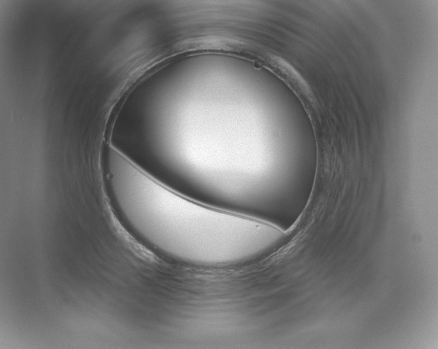 X0000073890938200608110906