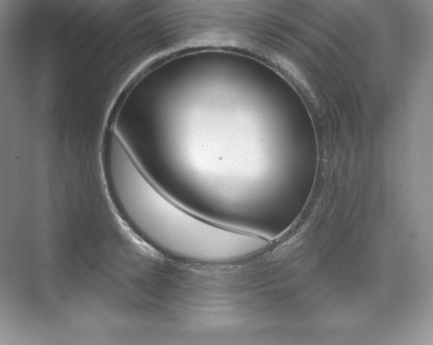 X0000073890942200608110906
