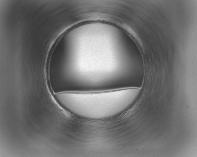 X0000073890943200608110906