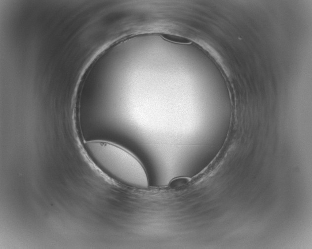 X0000073890949200608110906