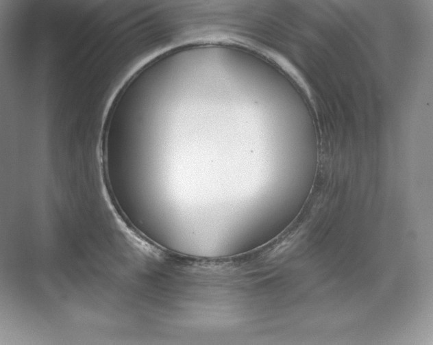 X0000073890951200608110906