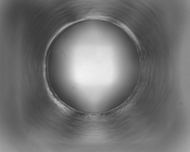 X0000073890955200608110906