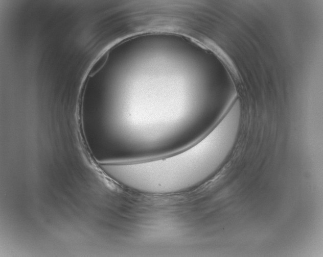 X0000073890956200608110906