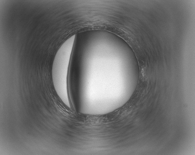 X0000073890963200608110905