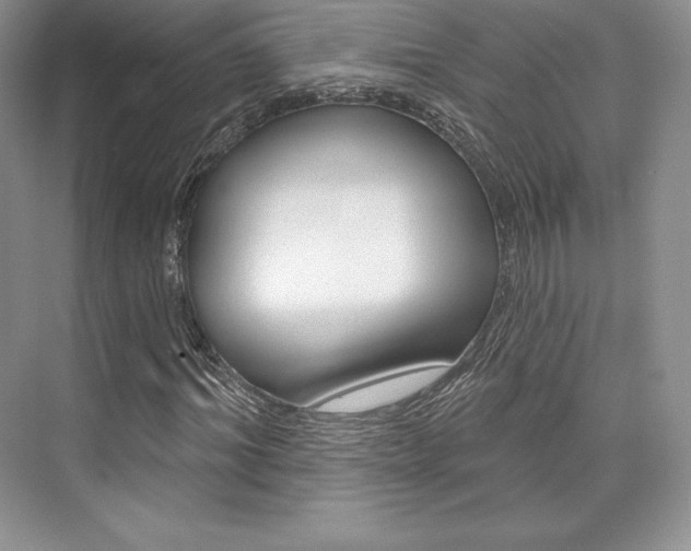 X0000073890964200608110905