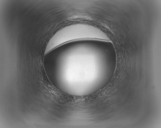 X0000073890965200608110905