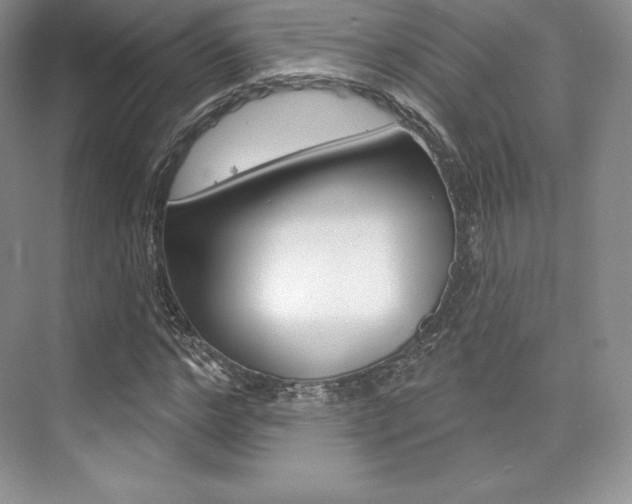X0000073890968200608110905