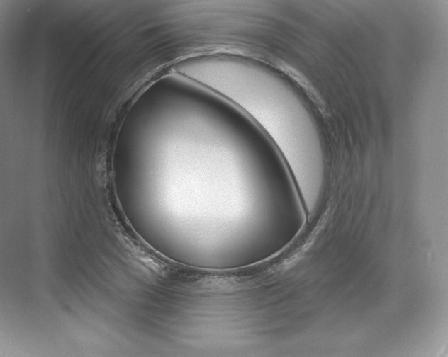 X0000073890977200608110905