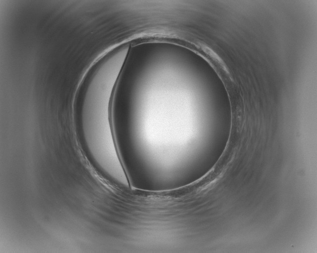 X0000073890981200608110905