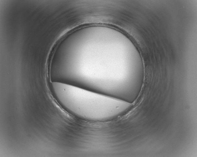 X0000073890982200608110905