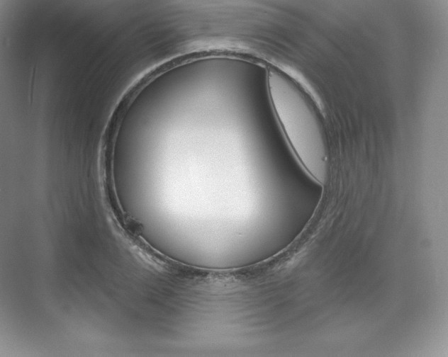 X0000073890983200608110905