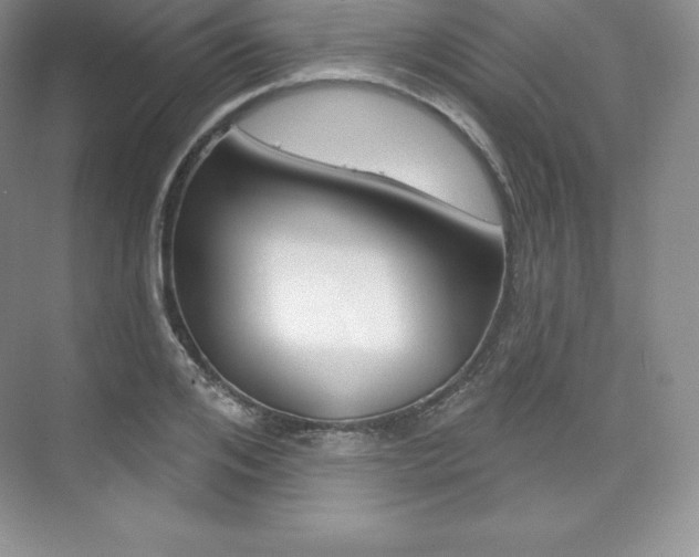 X0000073890984200608110905