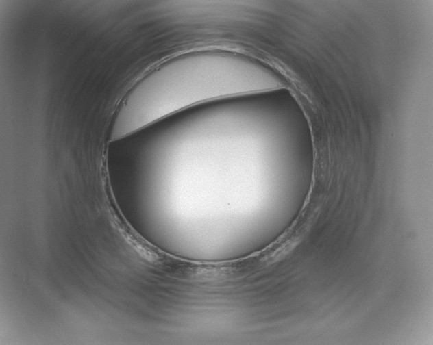 X0000073890985200608110905
