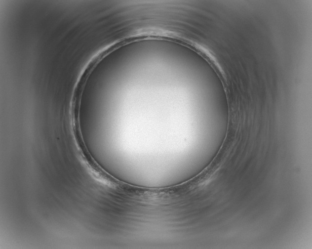 X0000073890987200608110905