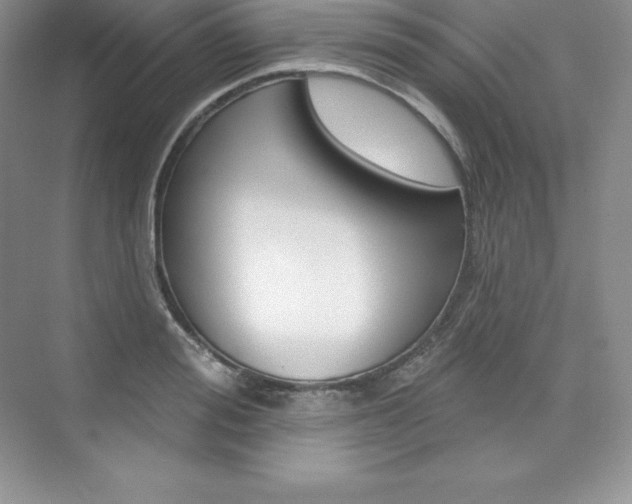 X0000073890988200608110905