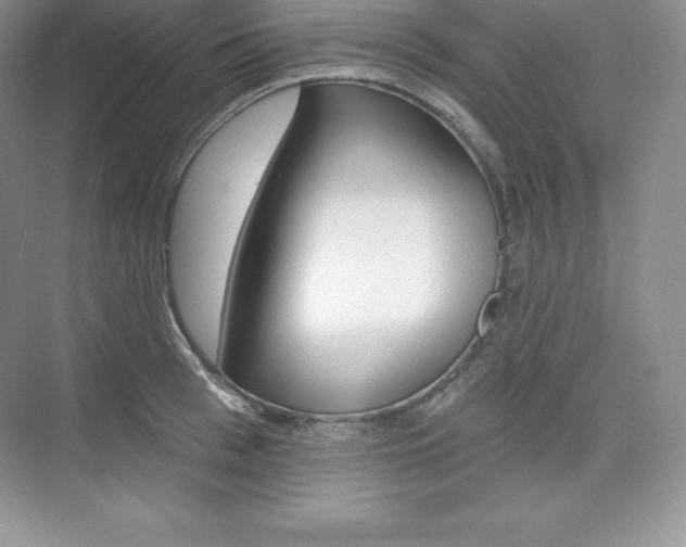 X0000073890993200608110905