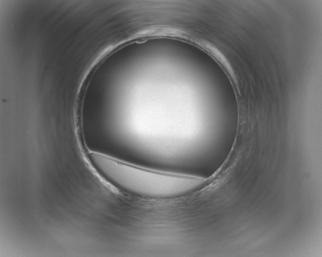 X0000073890997200608110905