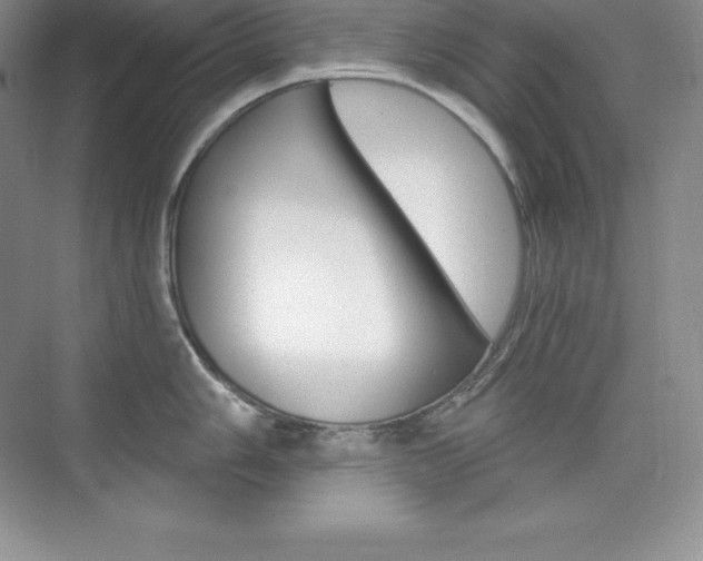 X0000073891006200608110905