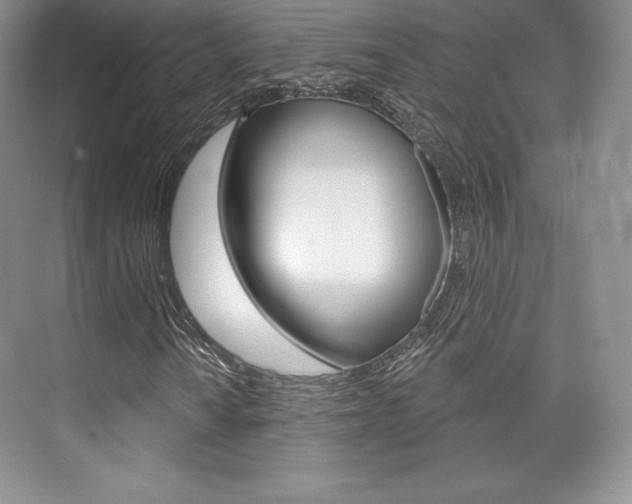 X0000073891010200608110904