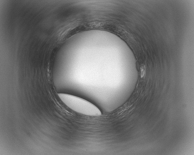X0000073891011200608110904
