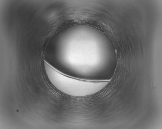 X0000073891012200608110904