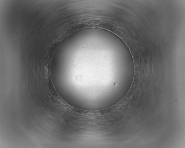 X0000073891013200608110904