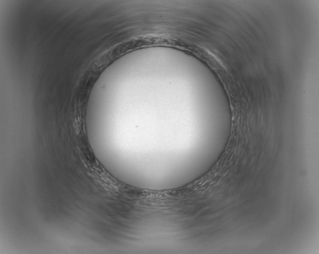X0000073891015200608110904