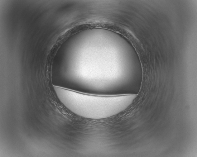 X0000073891016200608110904