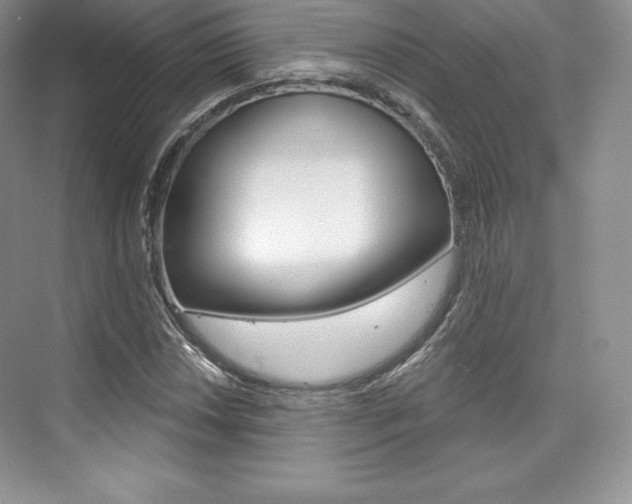 X0000073891018200608110904