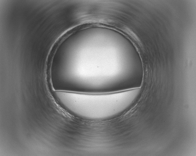X0000073891020200608110904