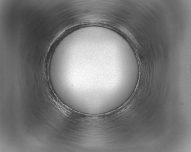 X0000073891023200608110904