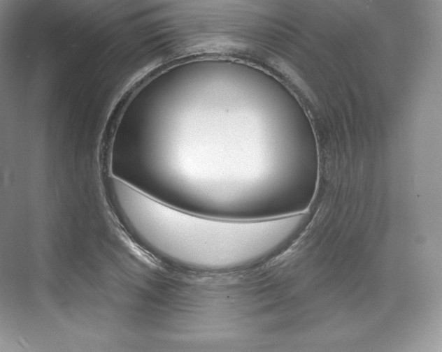X0000073891026200608110904