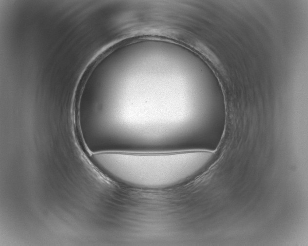 X0000073891028200608110904