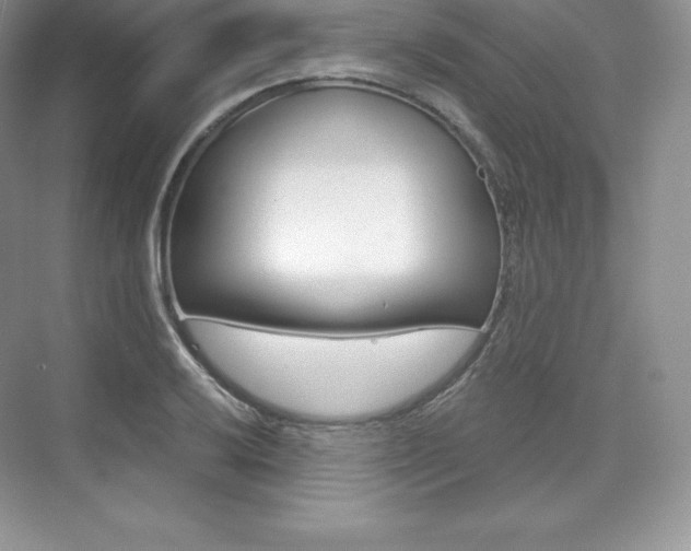X0000073891032200608110904