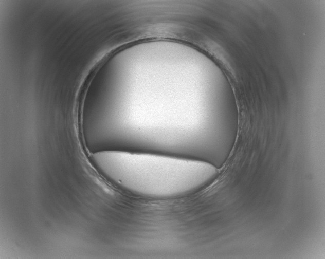 X0000073891035200608110904
