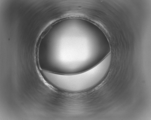 X0000073891038200608110904