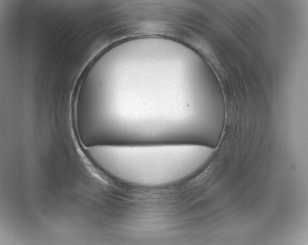 X0000073891039200608110904