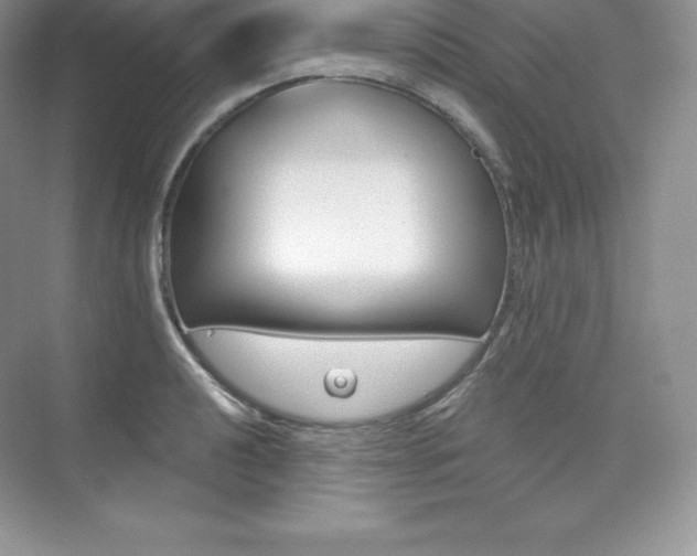 X0000073891040200608110904