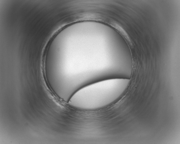 X0000073891043200608110904