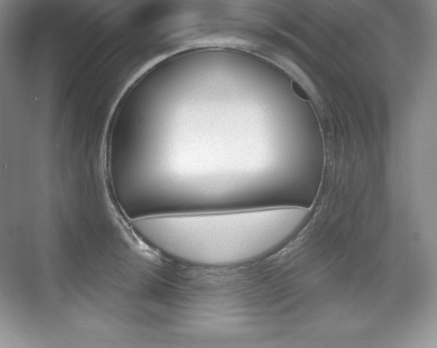 X0000073891044200608110904