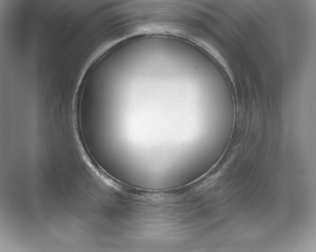 X0000073891045200608110904