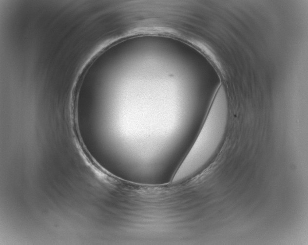 X0000073891046200608110904
