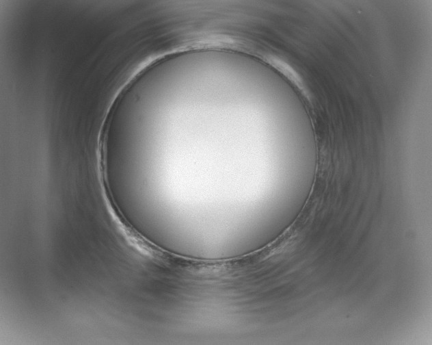 X0000073891047200608110904