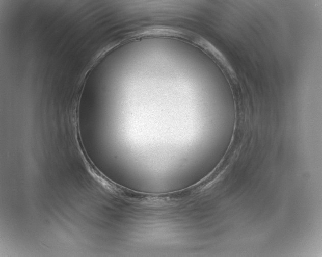 X0000073891049200608110905